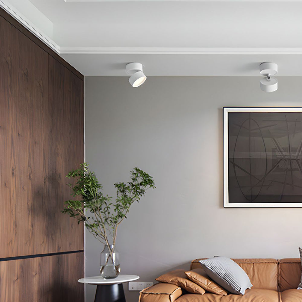 AuraGlow – Contemporary LED Ceiling Light for Bold Interiors