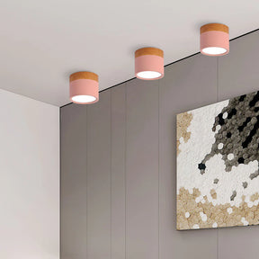 LumiTone – Modern Cylindrical Ceiling Light with Wooden Accent & LED Glow