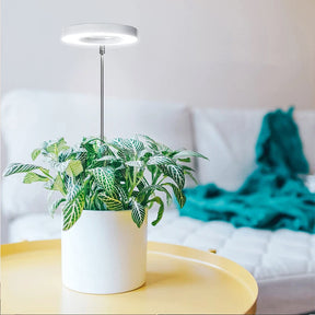 FloraGlow – Stylish Adjustable LED Light for Indoor Plants