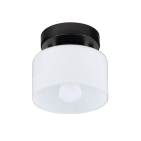 LumiGlow - Small Glass Ceiling Light with Round Clear Shade