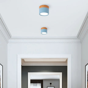 LumiTone – Modern Cylindrical Ceiling Light with Wooden Accent & LED Glow