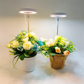 FloraGlow – Stylish Adjustable LED Light for Indoor Plants