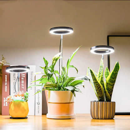 FloraGlow – Stylish Adjustable LED Light for Indoor Plants