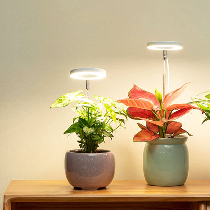 FloraGlow – Stylish Adjustable LED Light for Indoor Plants