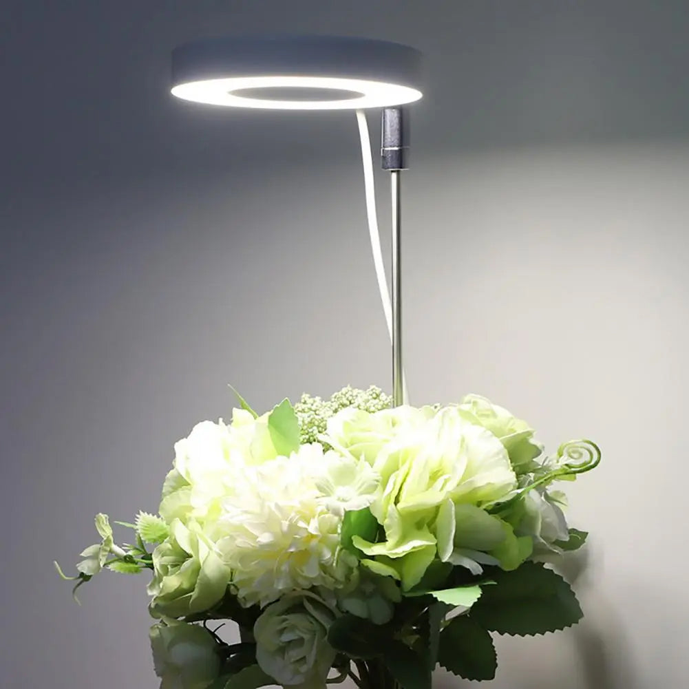 FloraGlow – Stylish Adjustable LED Light for Indoor Plants