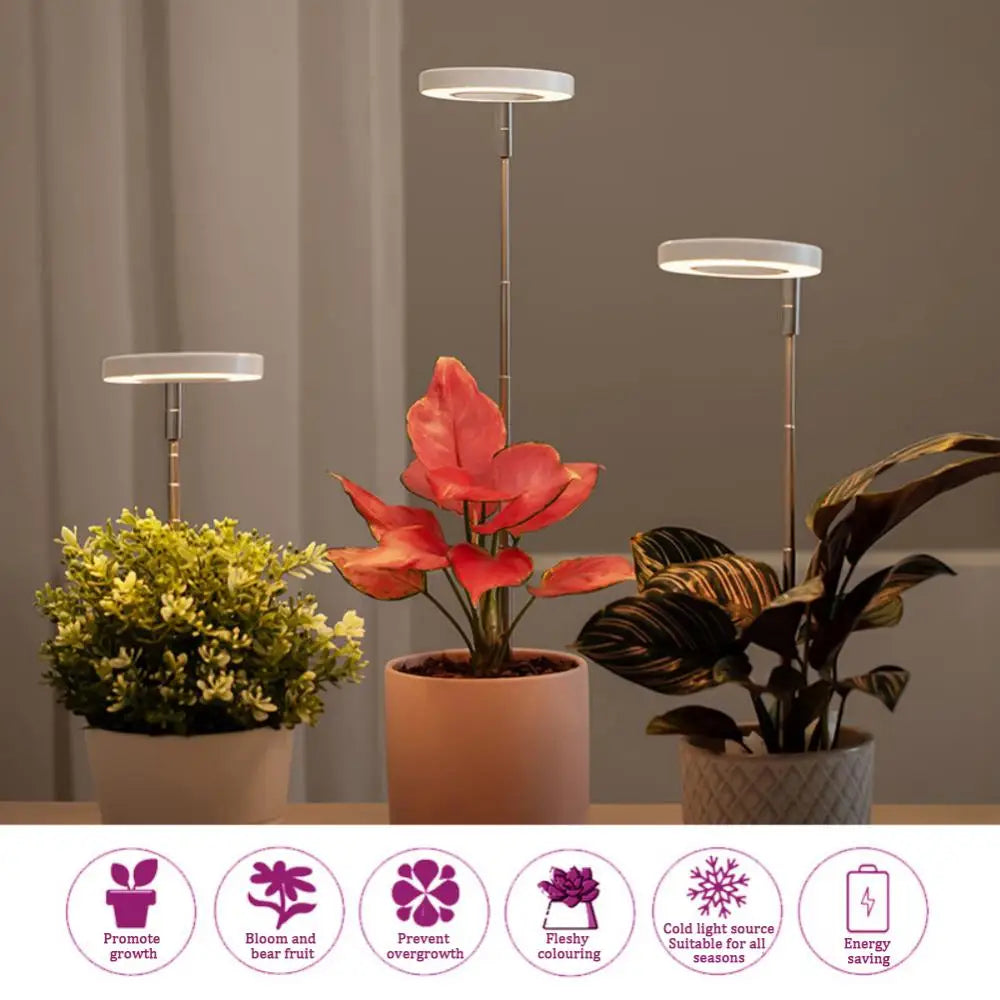 FloraGlow – Stylish Adjustable LED Light for Indoor Plants