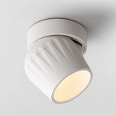 SpotLuxe – Adjustable LED Ceiling Spotlight for Focused Lighting