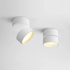 Flexora - Stylish ceiling lamp with adjustable design and versatile illumination