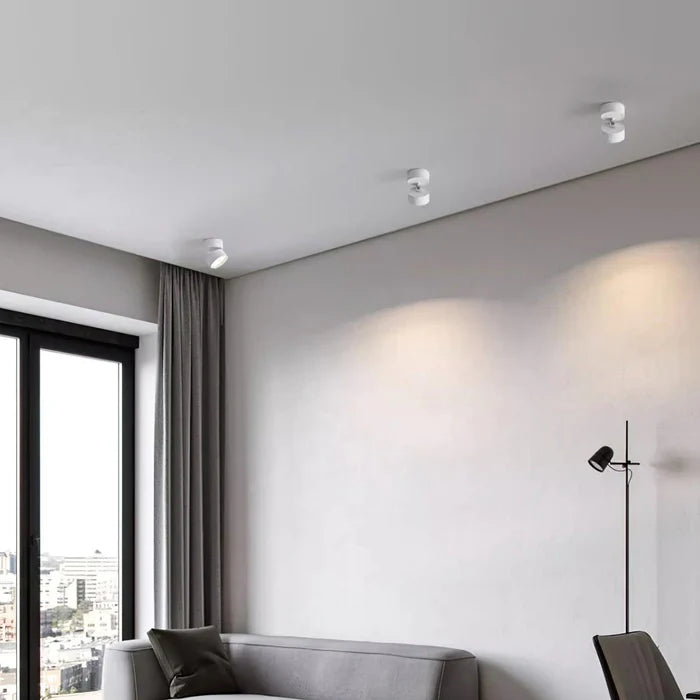 Flexora - Stylish ceiling lamp with adjustable design and versatile illumination