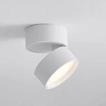 Flexora - Stylish ceiling lamp with adjustable design and versatile illumination