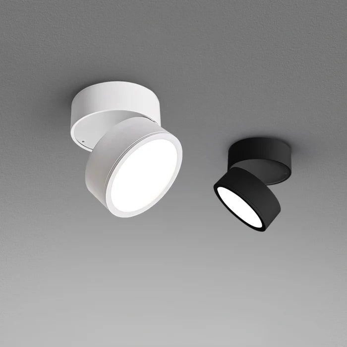 Flexora - Stylish ceiling lamp with adjustable design and versatile illumination