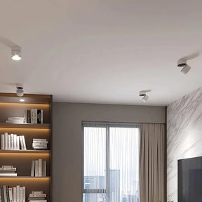 Flexora - Stylish ceiling lamp with adjustable design and versatile illumination