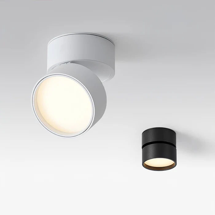 Flexora - Stylish ceiling lamp with adjustable design and versatile illumination