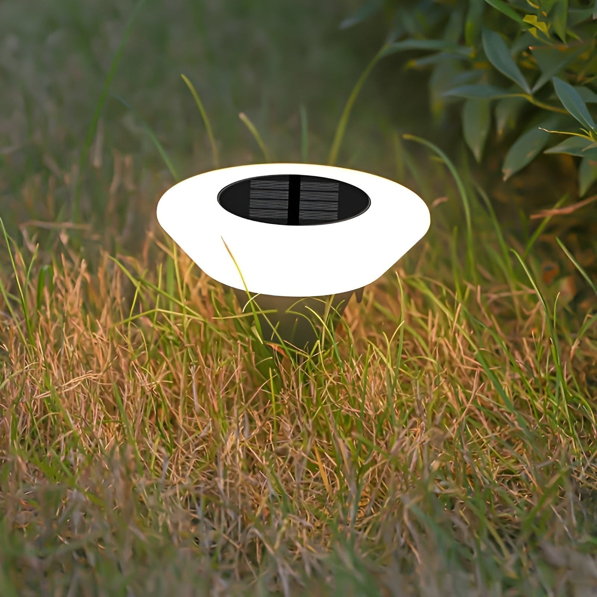 SolarGlow – Sleek Oval Solar Pathway Lights for Elegant Outdoor Illumination