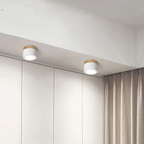 LumiTone – Modern Cylindrical Ceiling Light with Wooden Accent & LED Glow