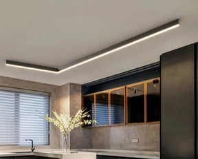 EcoLume - Contemporary Ceiling Light with Balanced LED Glow for Any Room